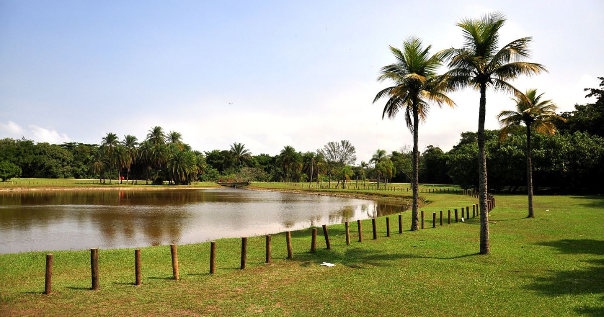 Bosque da Barra - RJ